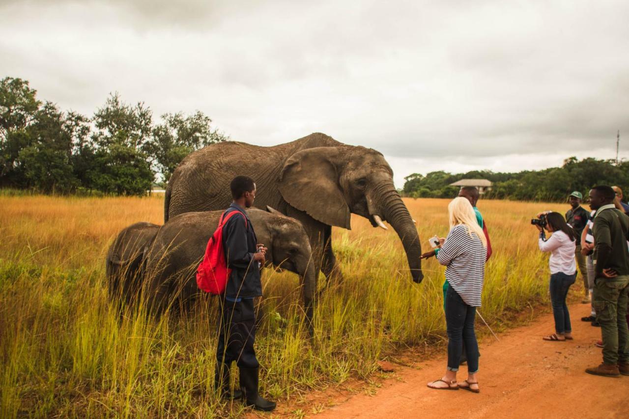 Chaminuka Lodge Lusaka Kültér fotó