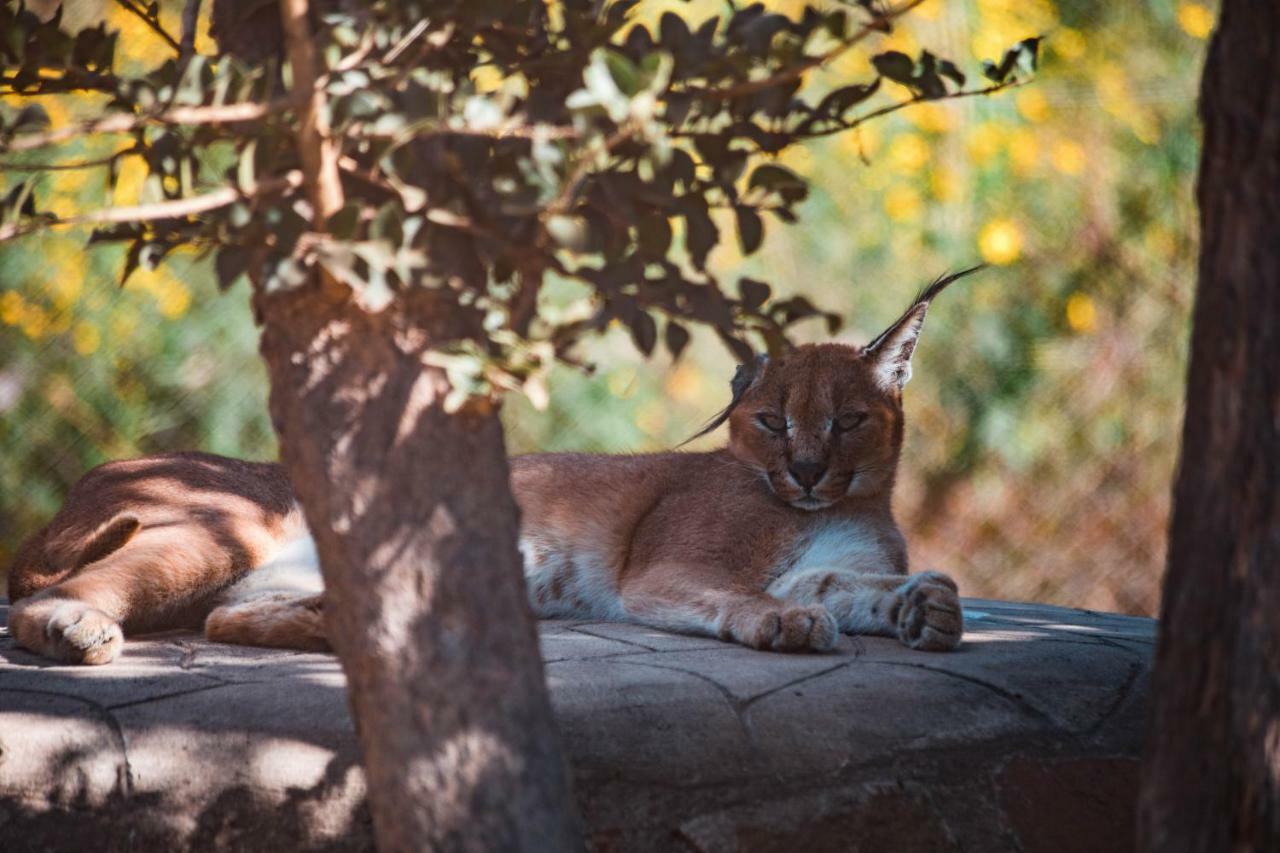 Chaminuka Lodge Lusaka Kültér fotó